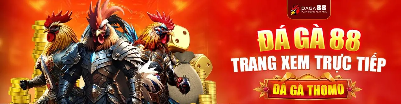 Tin tức Nohu 28 Chính Thức 2026