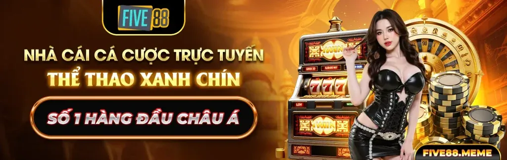 Hình ảnh giới thiệu nohu 28 chính thức