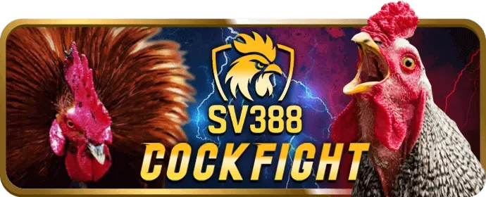 Báo chí và tin tức