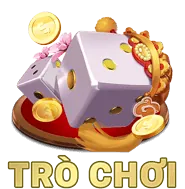 Hệ thống bảo mật nohu 28